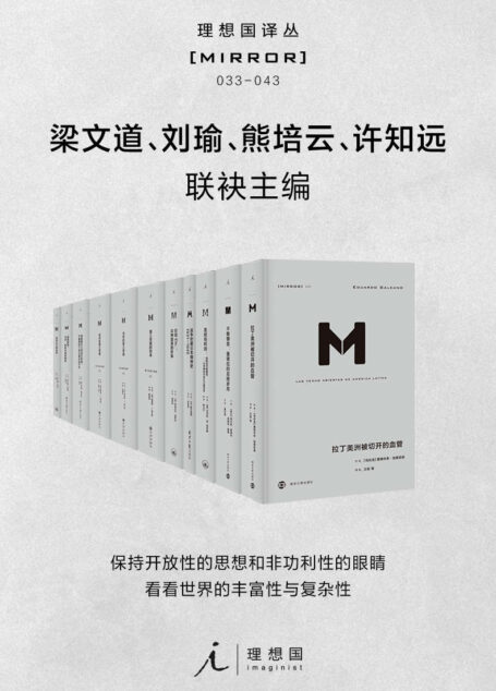 理想国译丛系列套装11册(033-043)【社会精英必看的关注世界丰富性与复杂性,为中国转型提供参照的具有国际水准的高品质丛书 理想国出品】