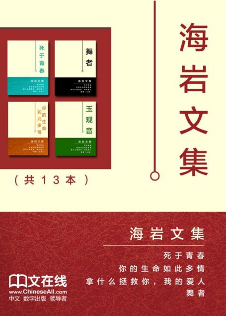 海岩文集