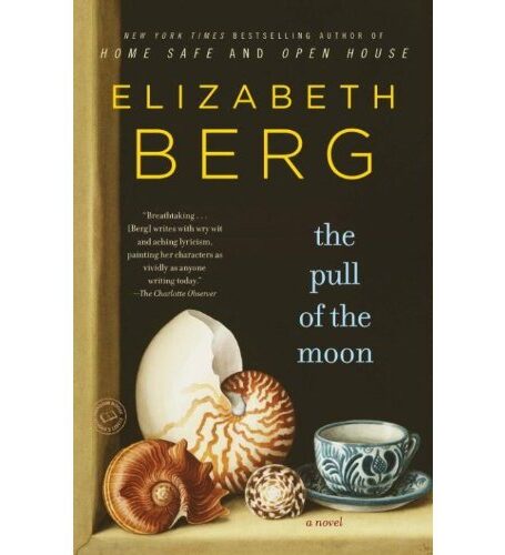 The Pull of the Moon: A Novel