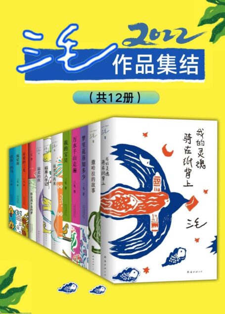 2022三毛作品集结(共12册,本辑增加新作《我的灵魂骑在纸背上》三毛生前未发表文字首度集结、去掉译作,为市面上三毛全部作品)