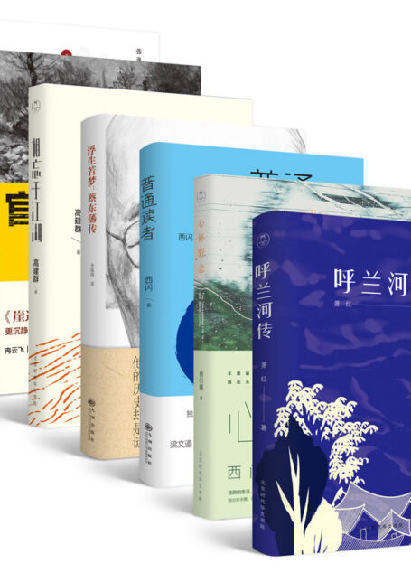 领读文学套装:(现当代文学优质文学,阅读,做回普通读者,做个有教养、懂常识、明事理的人) (领读经典)