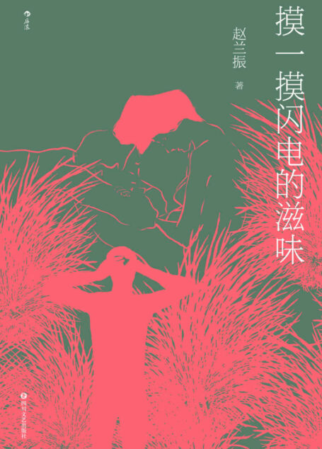 摸一摸闪电的滋味（潜伏文坛核心数十载，“魔幻”不只是一种小说手法，它就是我们的现实本身！） (后浪·说部)
