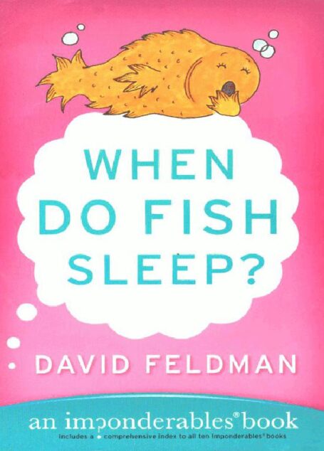 When Do Fish Sleep?
