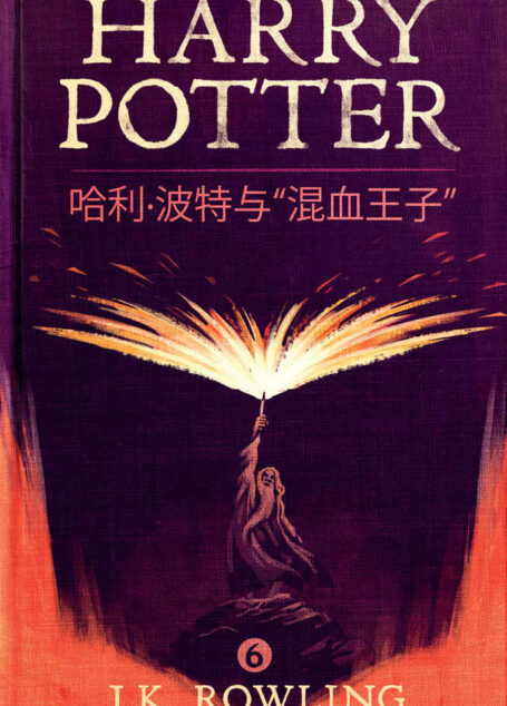 哈利·波特与“混血王子”  (Harry Potter and the Half-Blood Prince)