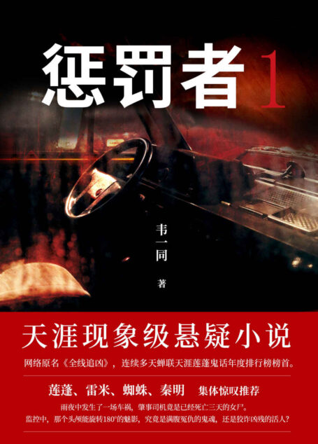 惩罚者(天涯用户每6人,就有1人读过!每个精心的谎言,都倒映着真相的碎片。作家莲蓬、雷米、蜘蛛、秦明惊叹推荐!)