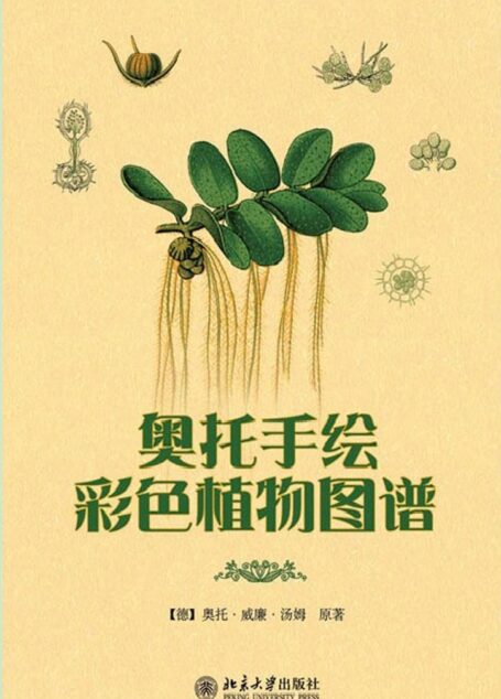 奥托手绘彩色植物图谱 (韩国学论丛)