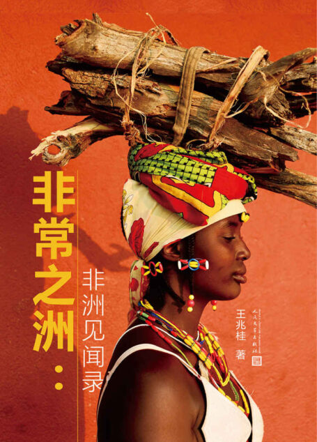 非常之洲:非洲见闻录