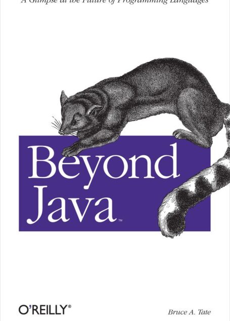 Beyond Java