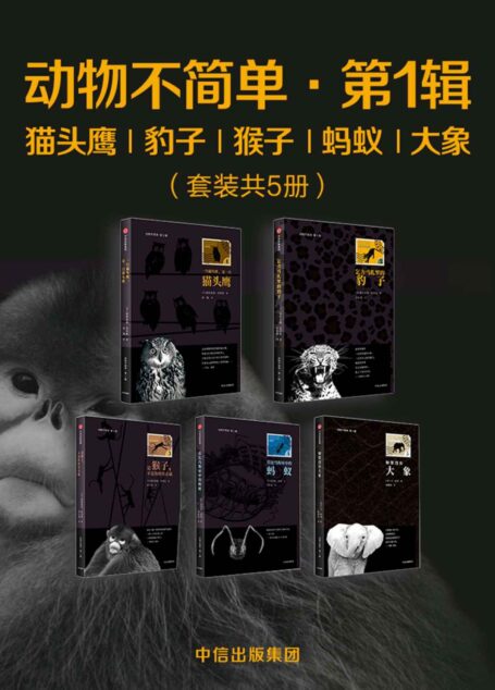 动物不简单·第1辑:猫头鹰、豹子、猴子、蚂蚁、大象(套装共5册)(一套丰富多彩的人文科普书!一串瑰丽神奇的动物文化风景)