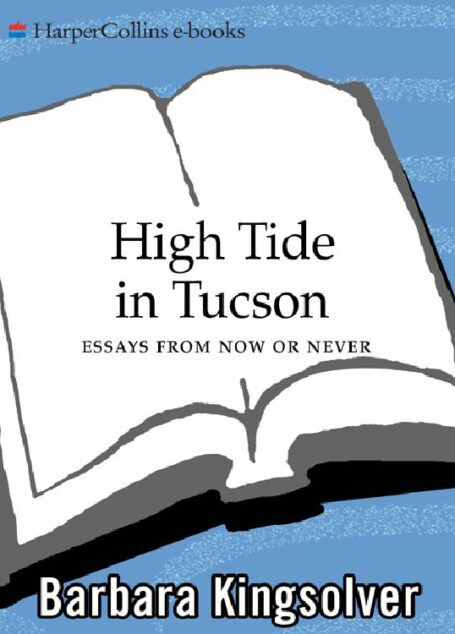 High Tide in Tucson