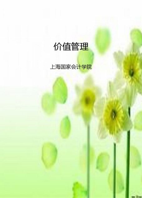 价值管理 (上海国家会计学院CFO丛书)