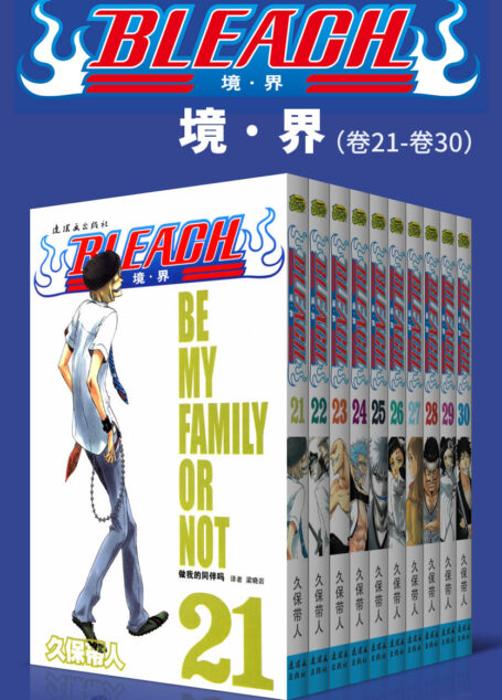 境·界/BLEACH/死神（第3部：卷21~卷30） (日本热血三大漫之一，久保带人巅峰神作。因守护而勇敢，为爱一往无前！)