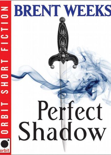 Perfect Shadow: A Night Angel Novella