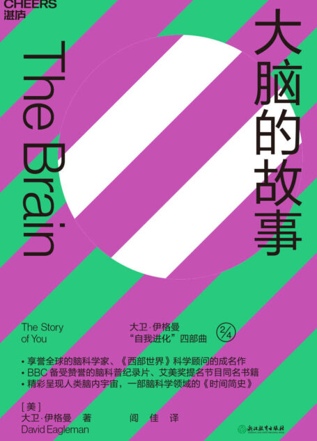 大脑的故事