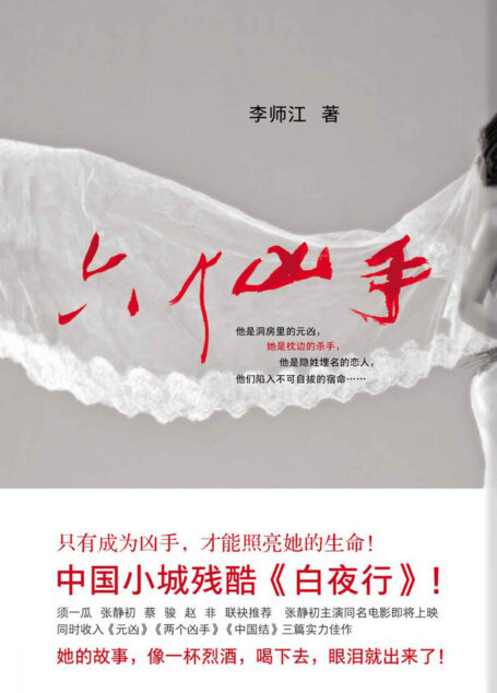 六个凶手（电影六个凶手原著）（只有成为凶手，才能照亮她的生命！中国小城残酷《白夜行》。国际影后张静初主演的同名电影原著。）