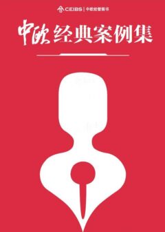中欧经典案例集