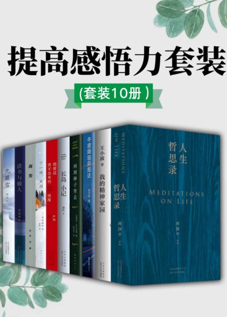 提高感悟力套装（拒绝成为工作机器，匆忙赶路、日渐麻木的同时，停下来思考，为感悟生活抛砖引玉）（套装10册）