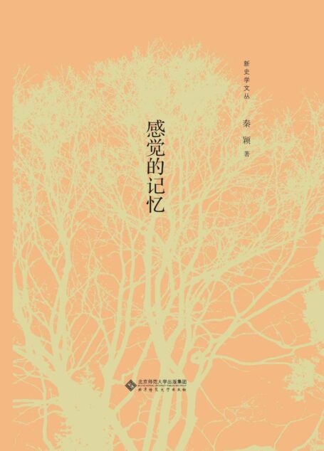 感觉的记忆【书写个人经验、感受和思考,表现片段的人生、社会、思想,以小见大,婉而多趣!】 (新史学文丛)