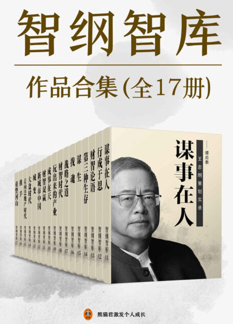 智纲智库作品合集（共17册）（学习战略咨询必看之作！国内顶尖战略咨询机构智纲智库作品大合集。拆解本土策划的真实案例，学会顶级策划人的战略思路。）