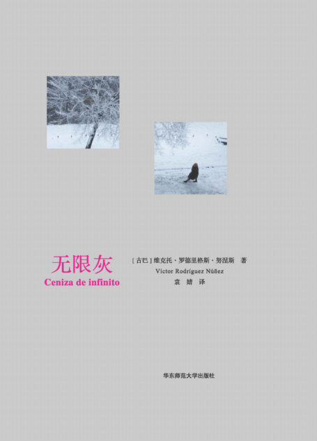 无限灰（当代西班牙语诗坛的见证者和守护者；“无边界诗人”维克托•罗德里格斯•努涅斯首部中文自选诗集，40年诗歌创作缩影）