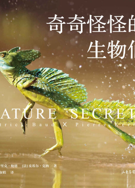 奇奇怪怪的生物们（神奇动物在这里！澳大利亚的五彩蜘蛛、马达加斯加的枯叶壁虎、印度的巨型松鼠…百余种珍稀物种，大开眼界！）