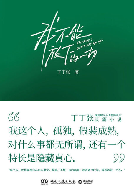 我不能放下的一切（成年人的乏力与困境。丁丁张阔别四年长篇小说，直抵都市人心，年度感动之作！）