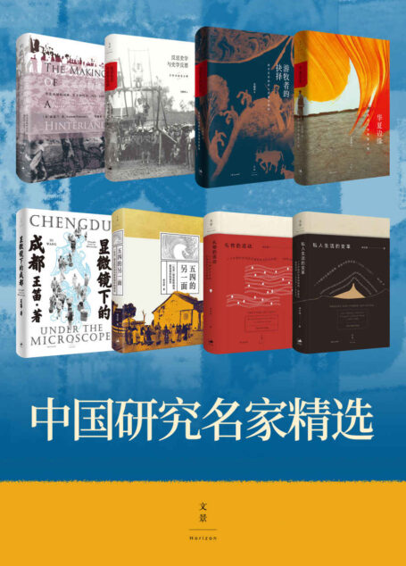 中国研究名家精选【彭慕兰、王明珂、王笛、杨念群、阎云翔多位国际知名学者运用丰富史料、跨学科视野深入研究中国社会重大变迁】