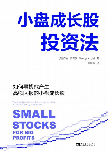 小盘成长股投资法