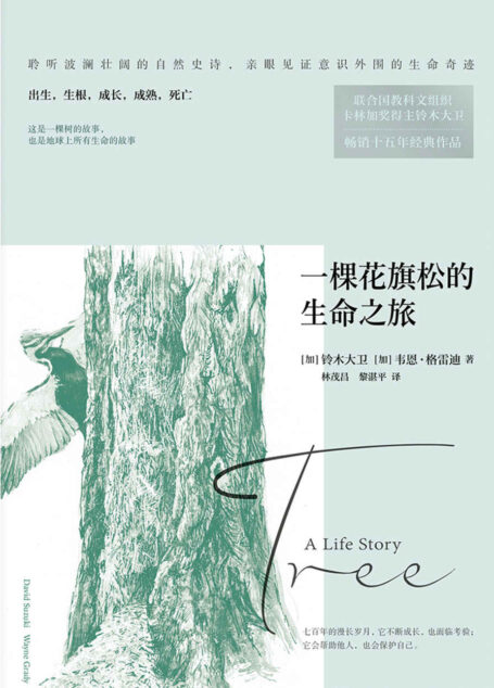 一棵花旗松的生命之旅(亲眼见证意识外围的生命奇迹。联合国教科文组织卡林加奖得主铃木大卫作品。 )