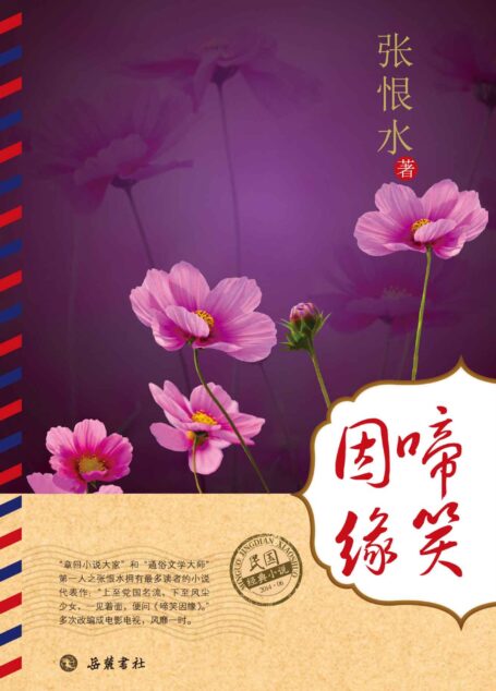 啼笑因缘 (民国经典小说)