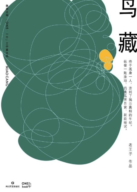 鸟藏(韩寒监制,「ONE·一个」金牌作者老王子全新短篇作品集,深刻描绘城市中产的困顿和荒诞)