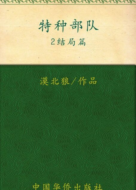 特种部队2(结局篇)