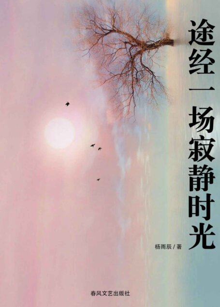 途经一场寂静时光