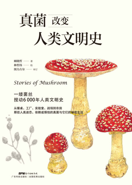 真菌改变人类文明史(一株菌丝,搅动6000年人类文明史!跨学科、多角度,揭秘古老又神秘的物种征服世界的全历程!)