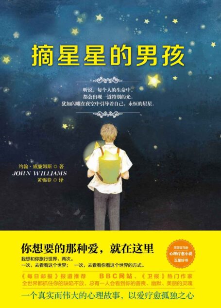 摘星星的男孩(英国作家约翰·威廉姆斯成名之作!《每日邮报》大力推荐!英国亚马逊五星好评!)