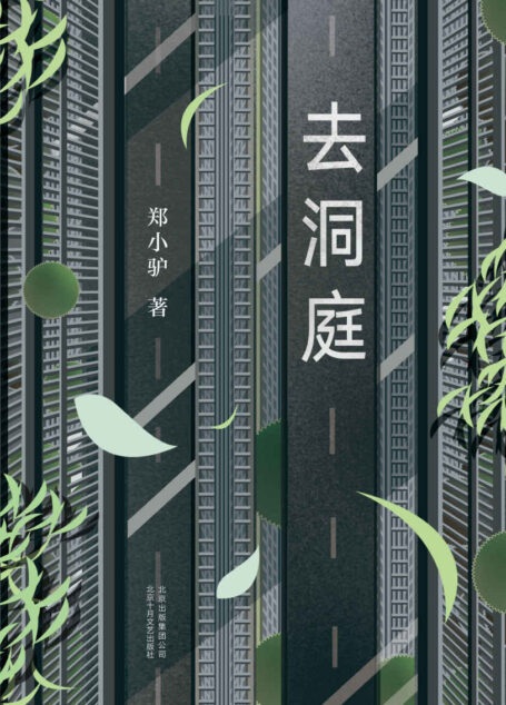 去洞庭(阎连科、韩少功、李敬泽、阿乙等诚挚推荐。85后“文字解剖师”,文字版《低俗小说》,小说版《撞车》。)