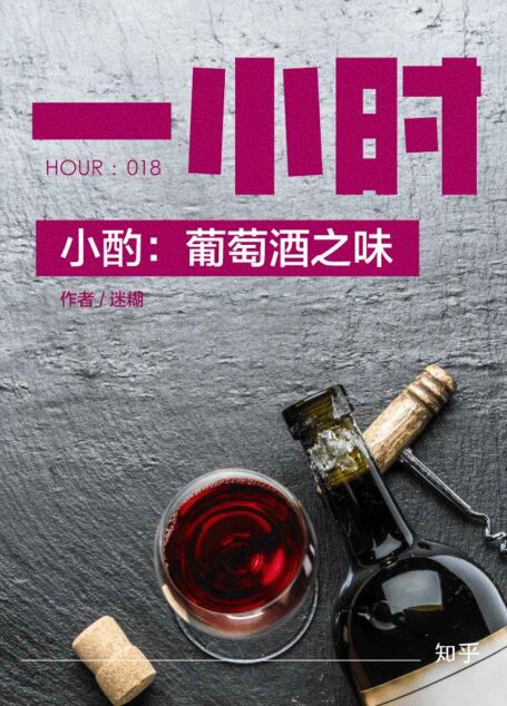 小酌：葡萄酒之味：知乎迷糊作品 (知乎「一小时」系列 18)