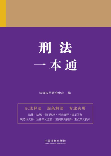 刑法一本通（第九版）