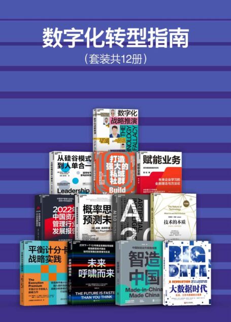 数字化转型指南（套装共12册）