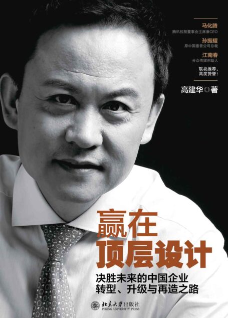 赢在顶层设计:决胜未来的中国企业转型、升级与再造之路