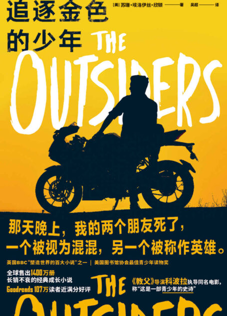 追逐金色的少年【即使身陷泥污,也要追逐纯真!全球售出1400万册,长销不衰的经典成长小说!英国BBC“影响世界的百大小说”之一!《教父》导演科波拉改编同名电影,称这是“青少年的史诗”!】