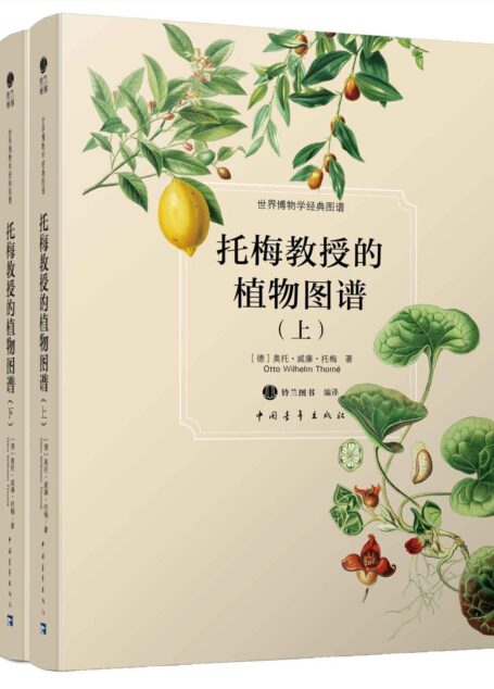 托梅教授的植物图谱(上下) (世界博物学经典图谱)
