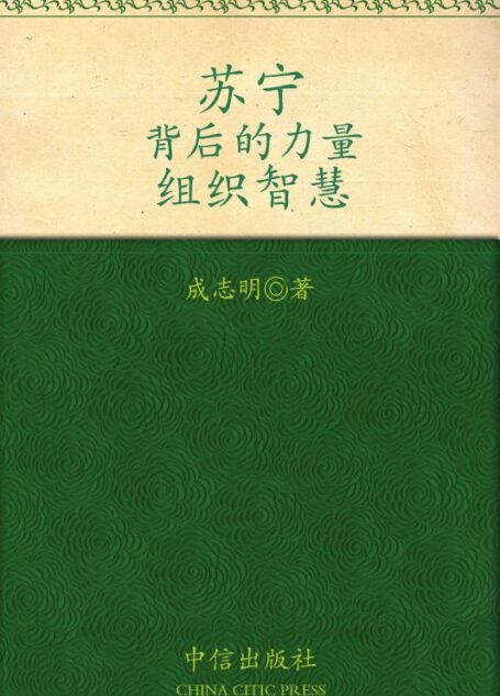 苏宁:背后的力量(组织智慧)