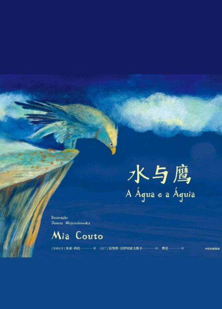 水与鹰(诺贝尔奖候选作家米亚•科托、安徒生插画奖入围插画家达努塔·沃伊切霍夫斯卡联手打造)