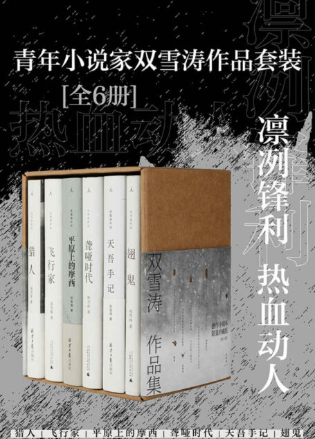 青年小说家双雪涛作品套装(全6册)(凛冽锋利, 热血动人, 当代中国最具大师潜质的青年小说家,创造“新的美学原则”,最纯粹小说家作品合集 理想国出品)