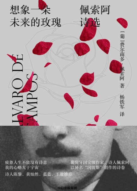 想象一朵未来的玫瑰：佩索阿诗选（深圳读书月“2019年度十大文学好书”，诗人陈黎、黄灿然、蓝蓝、王敖推荐）（雅众文化出品）