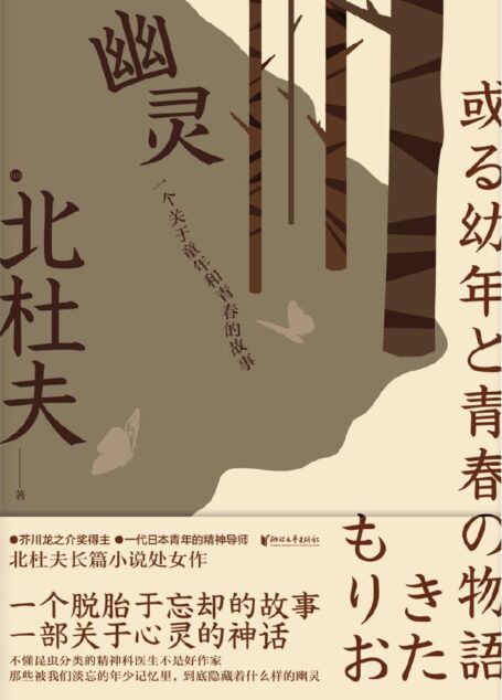 幽灵:一个关于童年和青春的故事(芥川龙之介奖得主,自传性质的长篇小说)