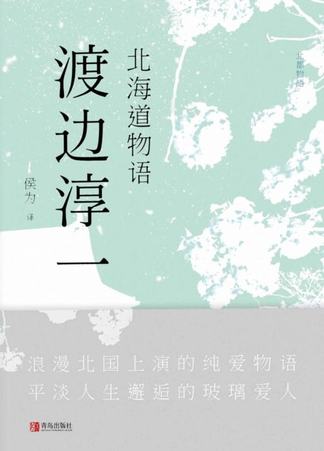 北海道物语(日本已故情爱大师,全球顶级畅销小说。浪漫北国上演的纯爱物语,平淡人生邂逅的玻璃爱人)