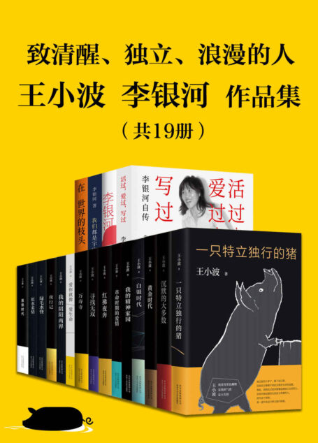 王小波李银河作品集（共19本） (王小波作品系列)
