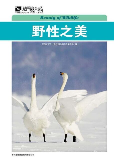 野性之美 (图说天下·透过镜头系列)